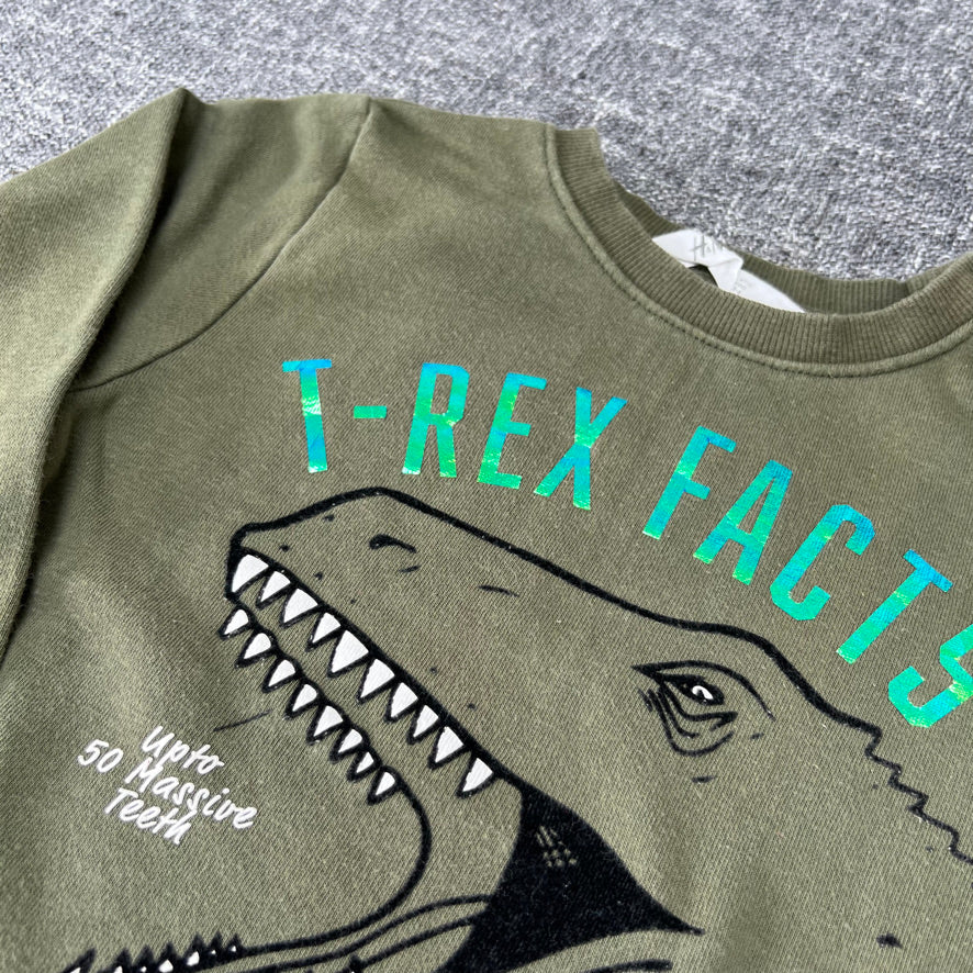 Boys 5-6 Year Khaki Green "T-Rex Facts" Dinosaur Jumper