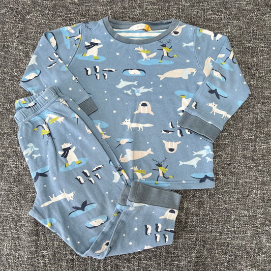 Boys 2-3 Year Blue Pjs With Winter Animal Print