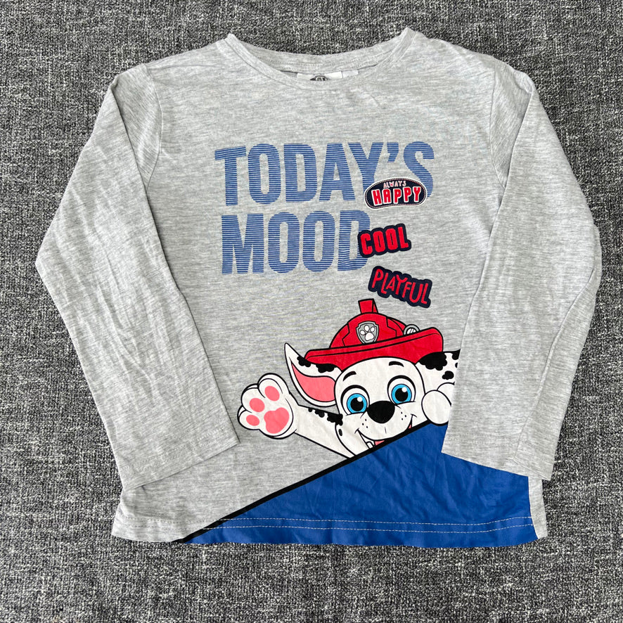 Boys 4-5 Year Grey Paw Patrol Long Sleeved Top "Today's Mood Always Happy, Cool, Playful"