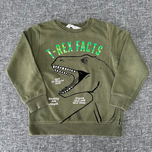 Boys 5-6 Year Khaki Green "T-Rex Facts" Dinosaur Jumper