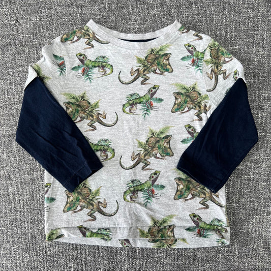 Boys 18-24 Month Grey Long Sleeved Top WithGreen Lizard Print