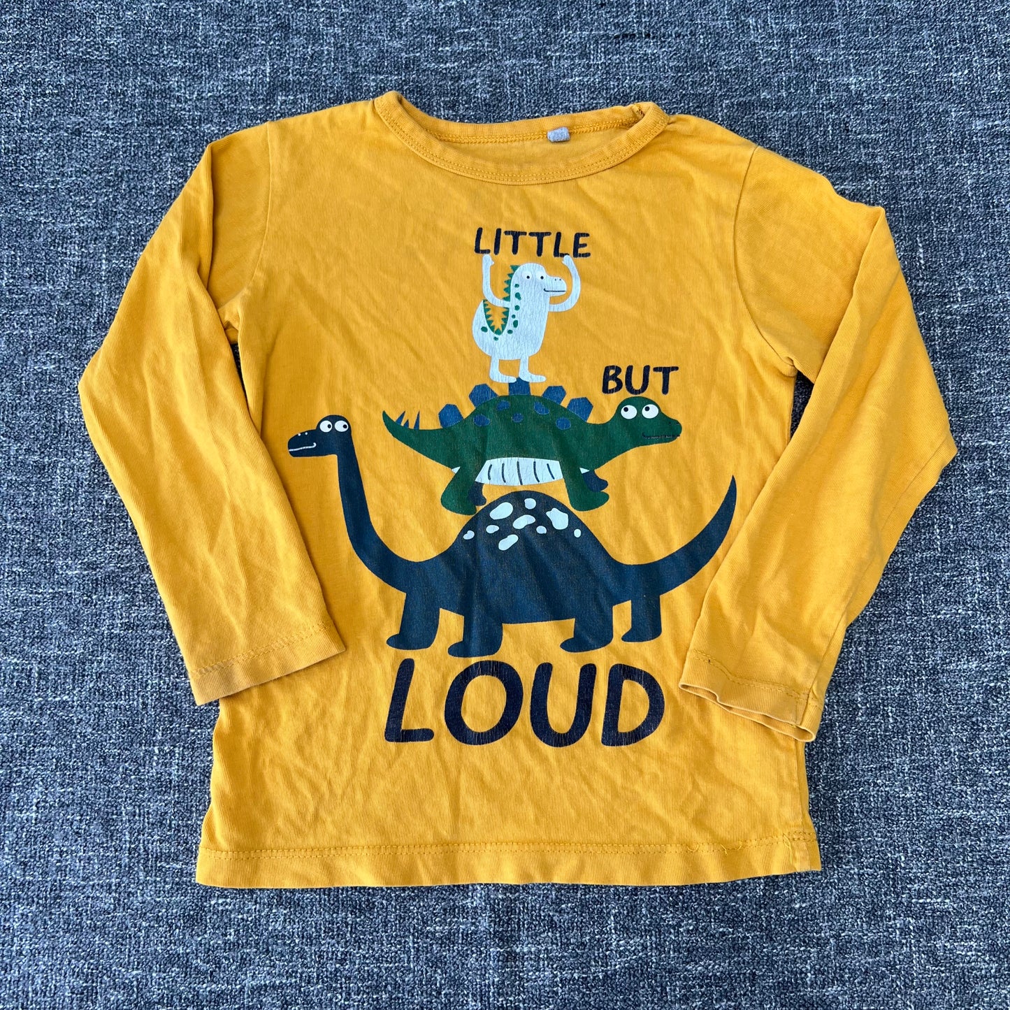 Boys 3-4 Year Yellow "Little But Loud" Dinosaur Long Sleeved Top