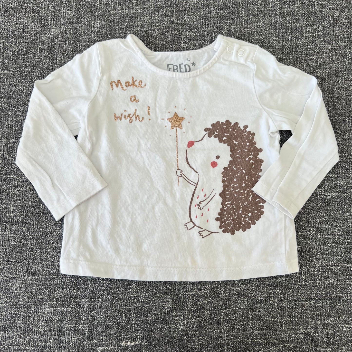 GIrls 6-9 Month White 'Make A Wish" Large Brown Hedgehog Motif Long Sleeved Top