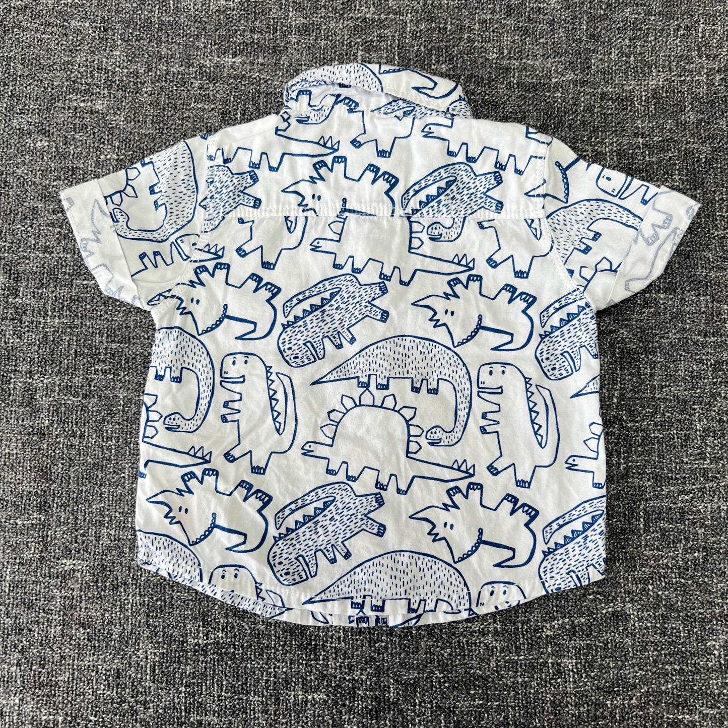 Boys Newborn Dinosaur Shirt