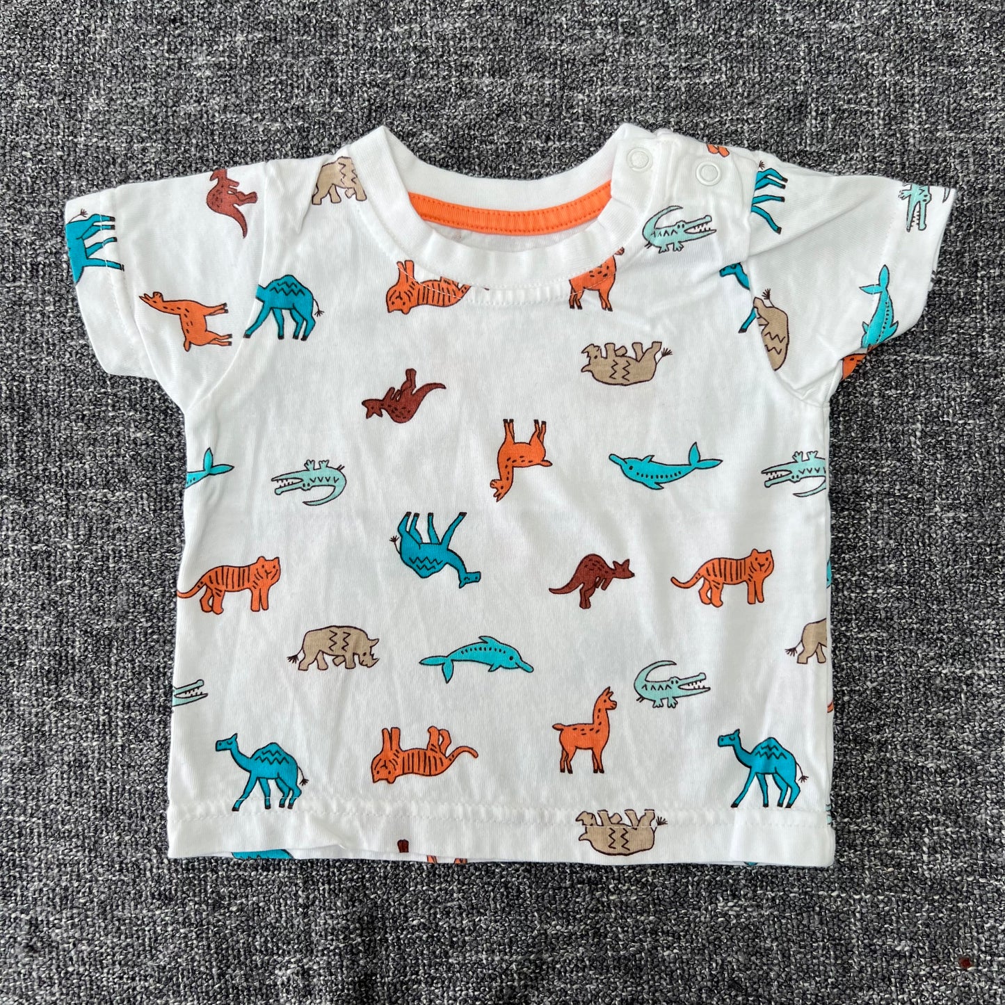 Boys 0-3 Month Animal T-shirt