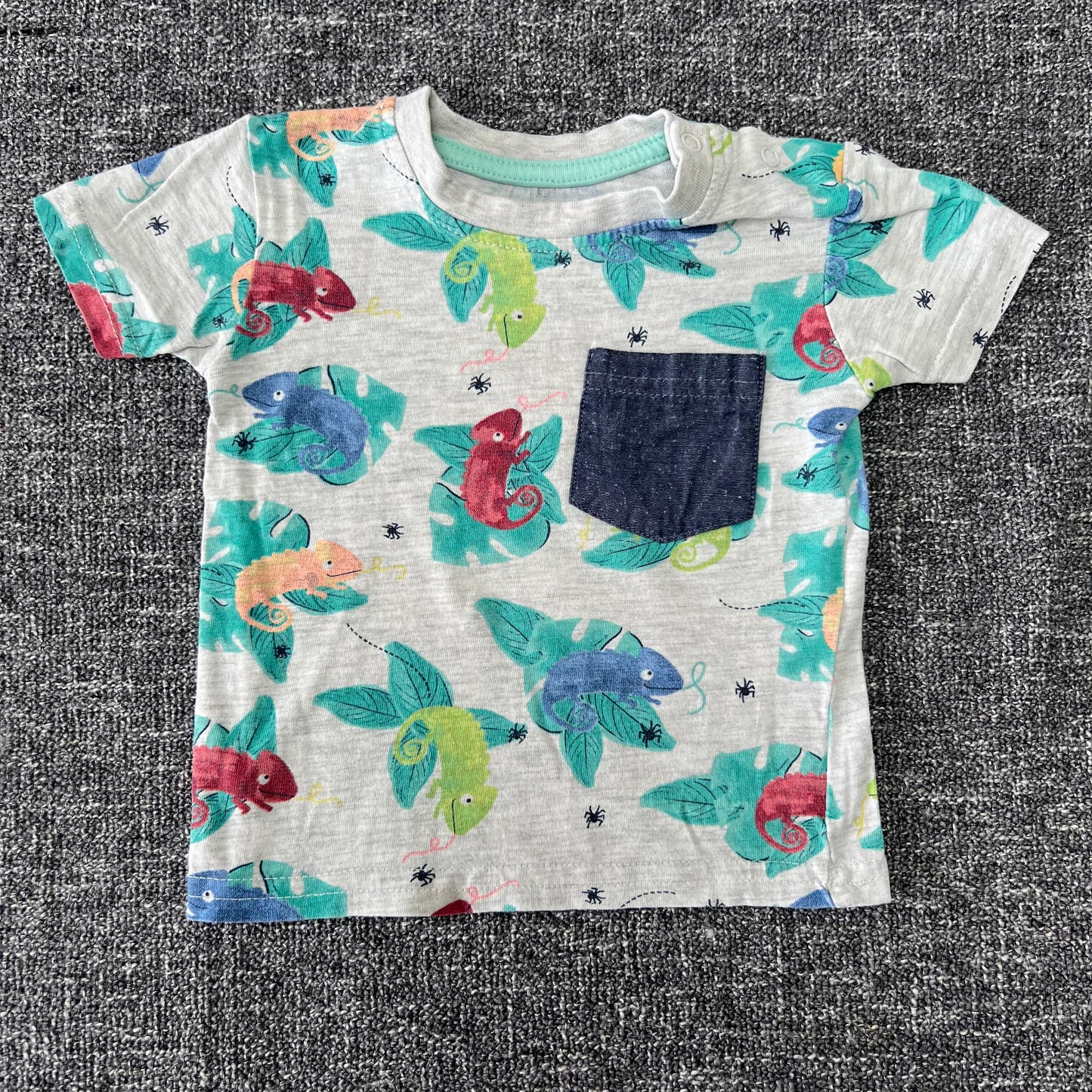 Boys 0-3 Month Chameleon Print T-shirt