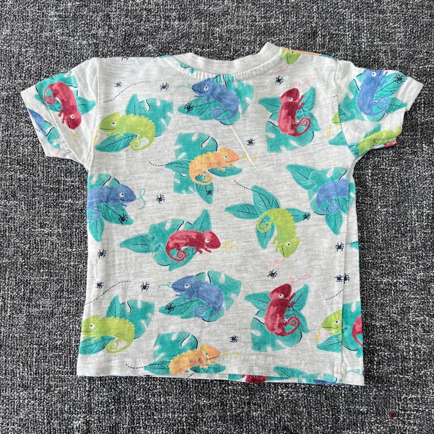 Boys 0-3 Month Chameleon Print T-shirt