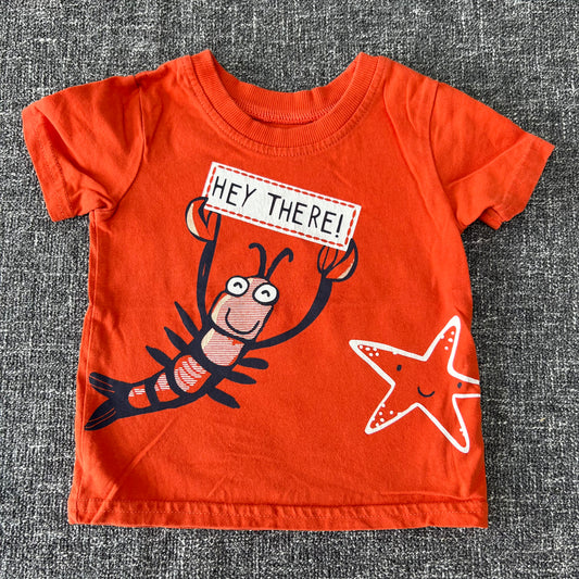 Boys 3-6 Month Orange "Hey There" T-shirt