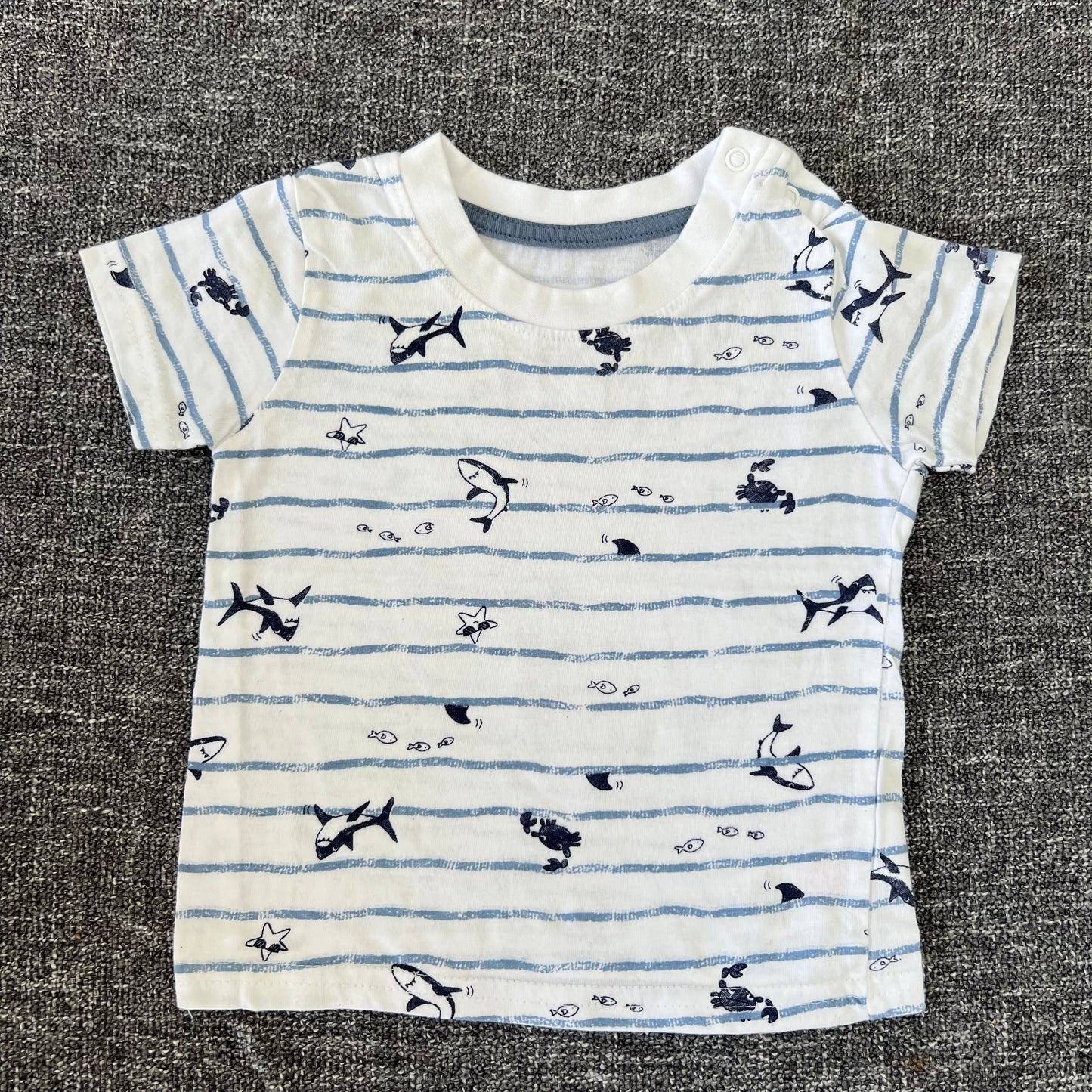 Boys 3-6 Month Sea Creature Striped T-shirt