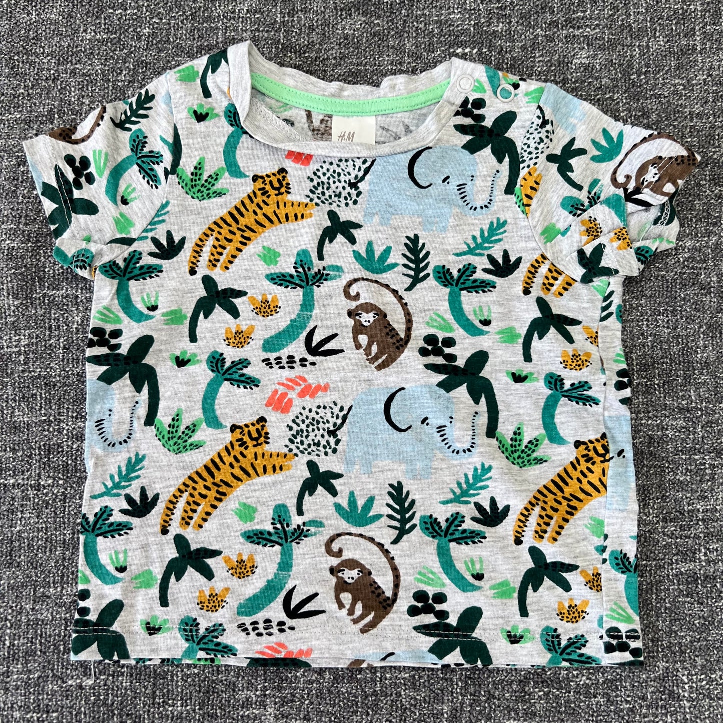 Boys 3-6 Month Tropical Animals T-shirt