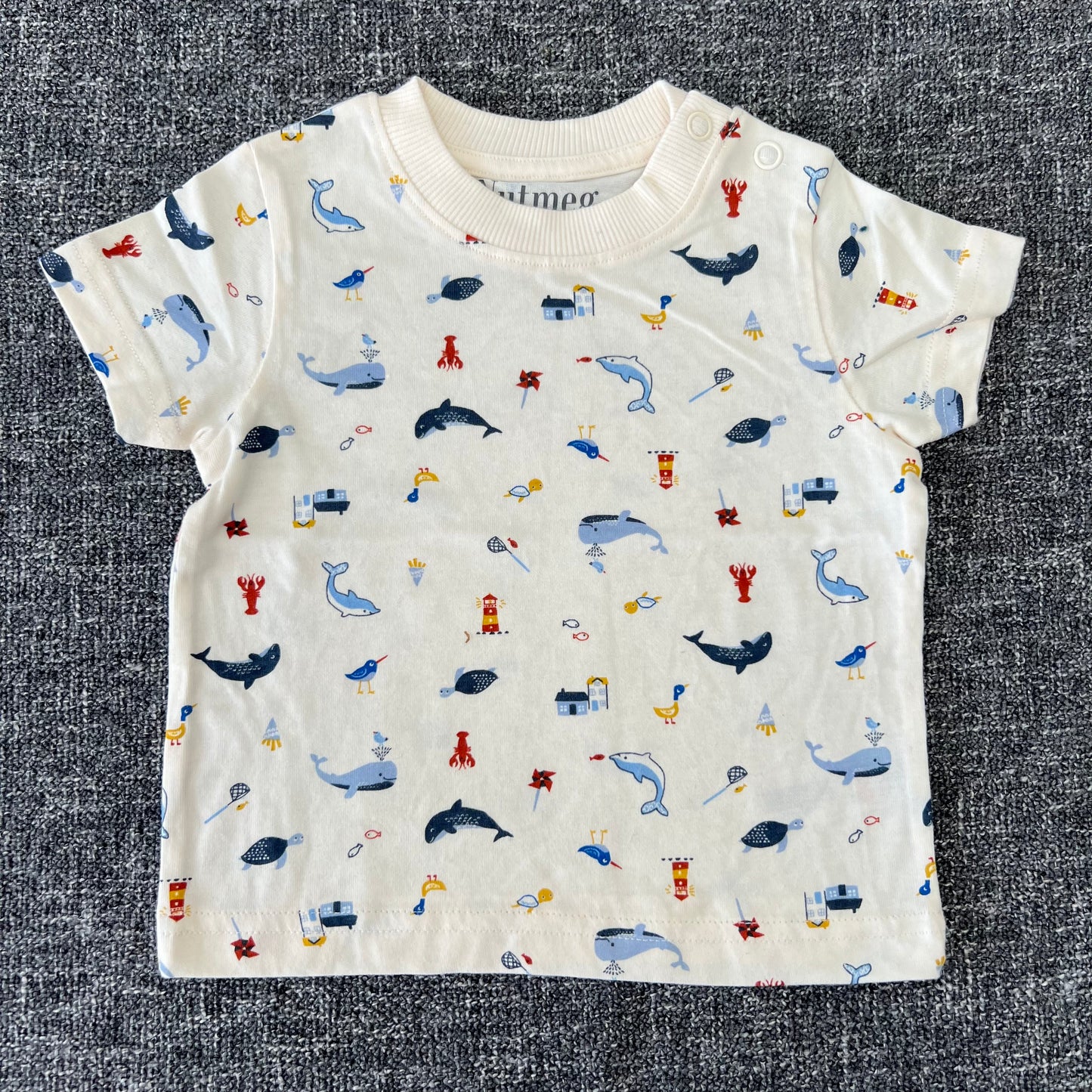 Boys 3-6 Month Cream Seaside T-shirts