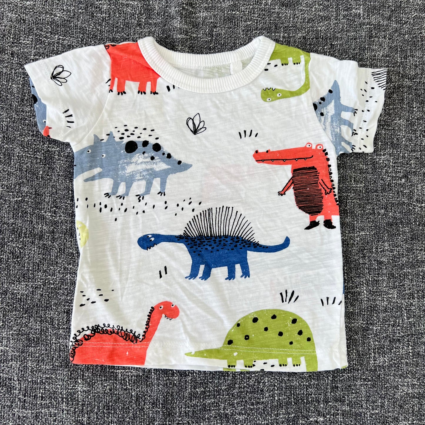 Boys 3-6 Month Dinosaur T-shirt