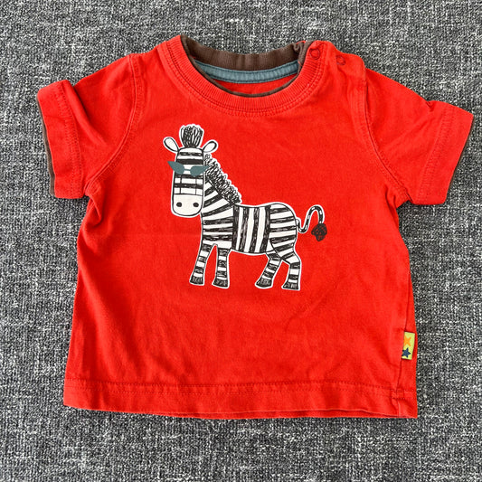 Boys 3-6 Month Orange Zebra T-shirt