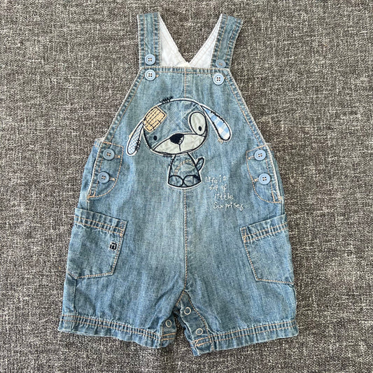 Boys 3-6 Month "Life is full of little surprises" Summer Dungarees