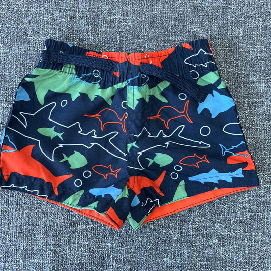 Boys 3-6 Month Shark Swim Shorts