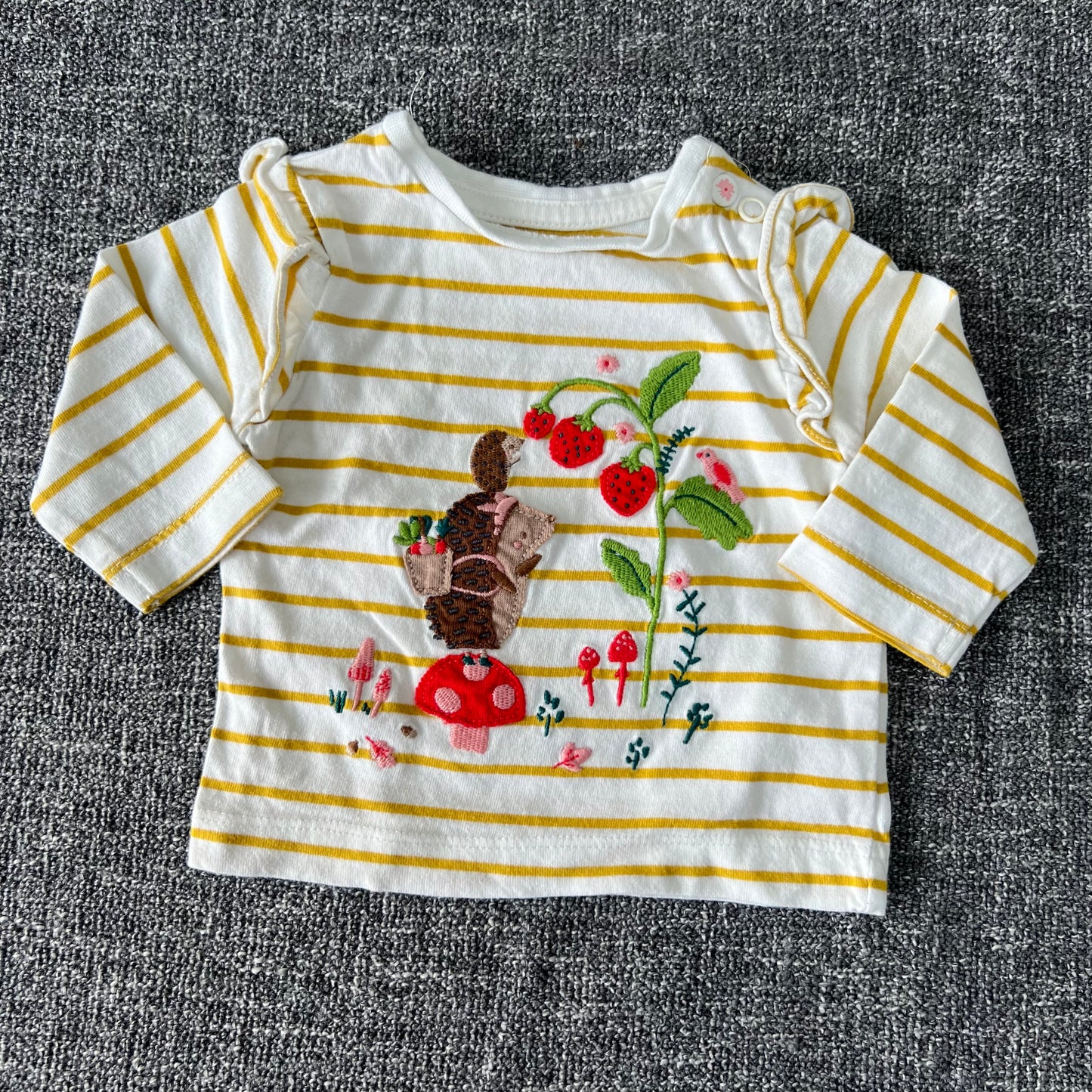 Girls Newborn Embroidered Hedgehog Long Sleeved Top