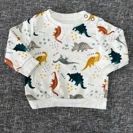 Boys 0-3 Month Light Weight Dinosaur Jumper