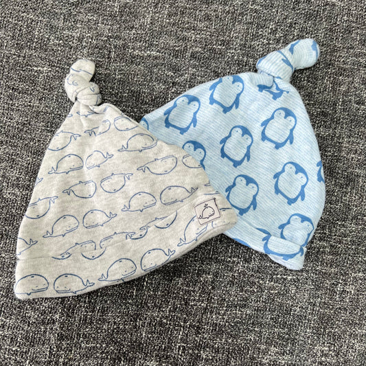 Boys 0-3 Month Blue Hats 2pk