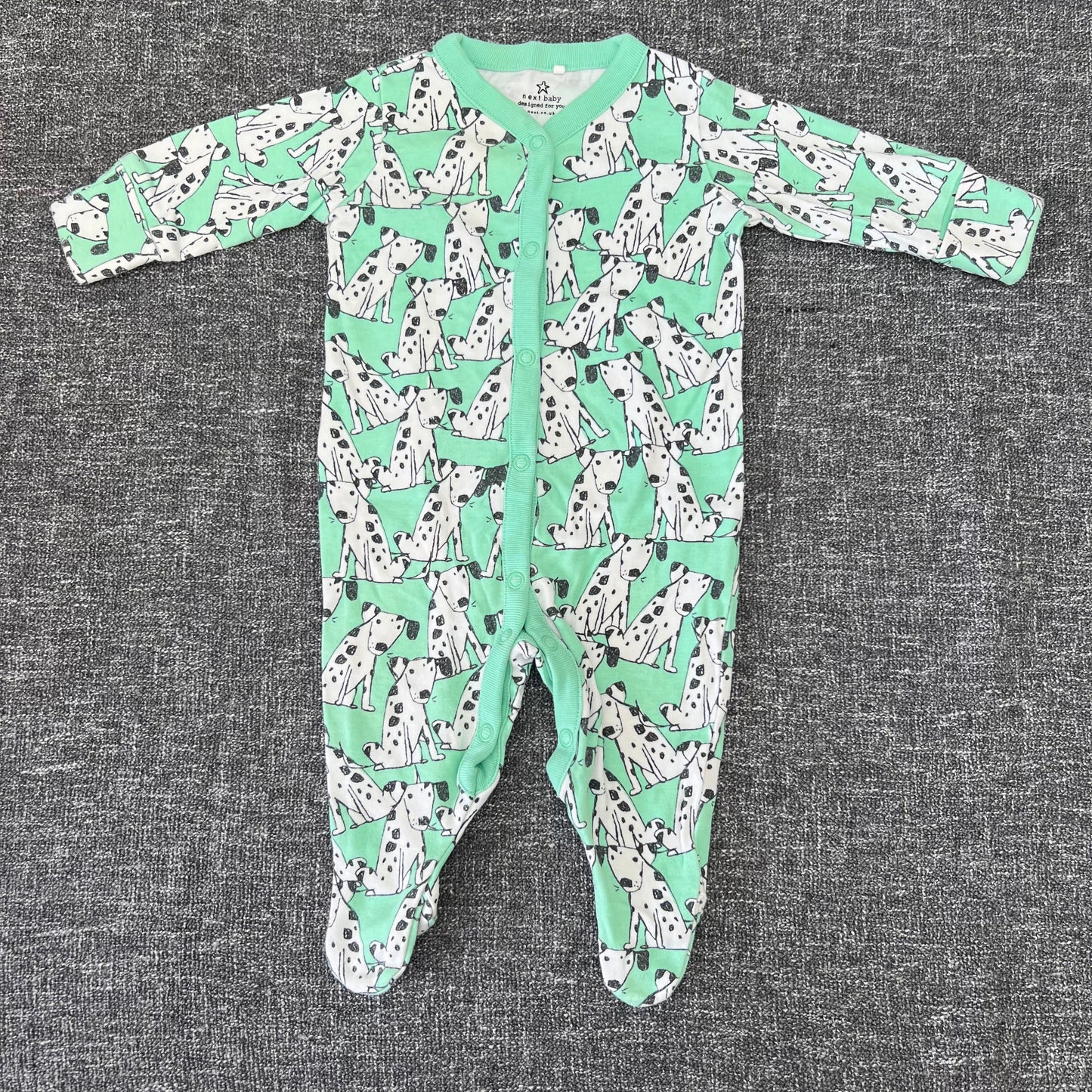 Boys 0-3 Month Green Dog Seepsuit