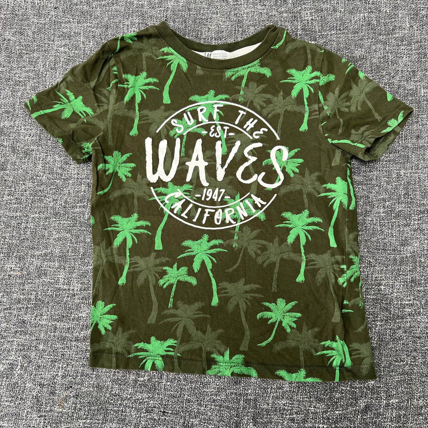 Boys 4-5 Year Green Palm Tree "Surf The Waves California" T-shirt