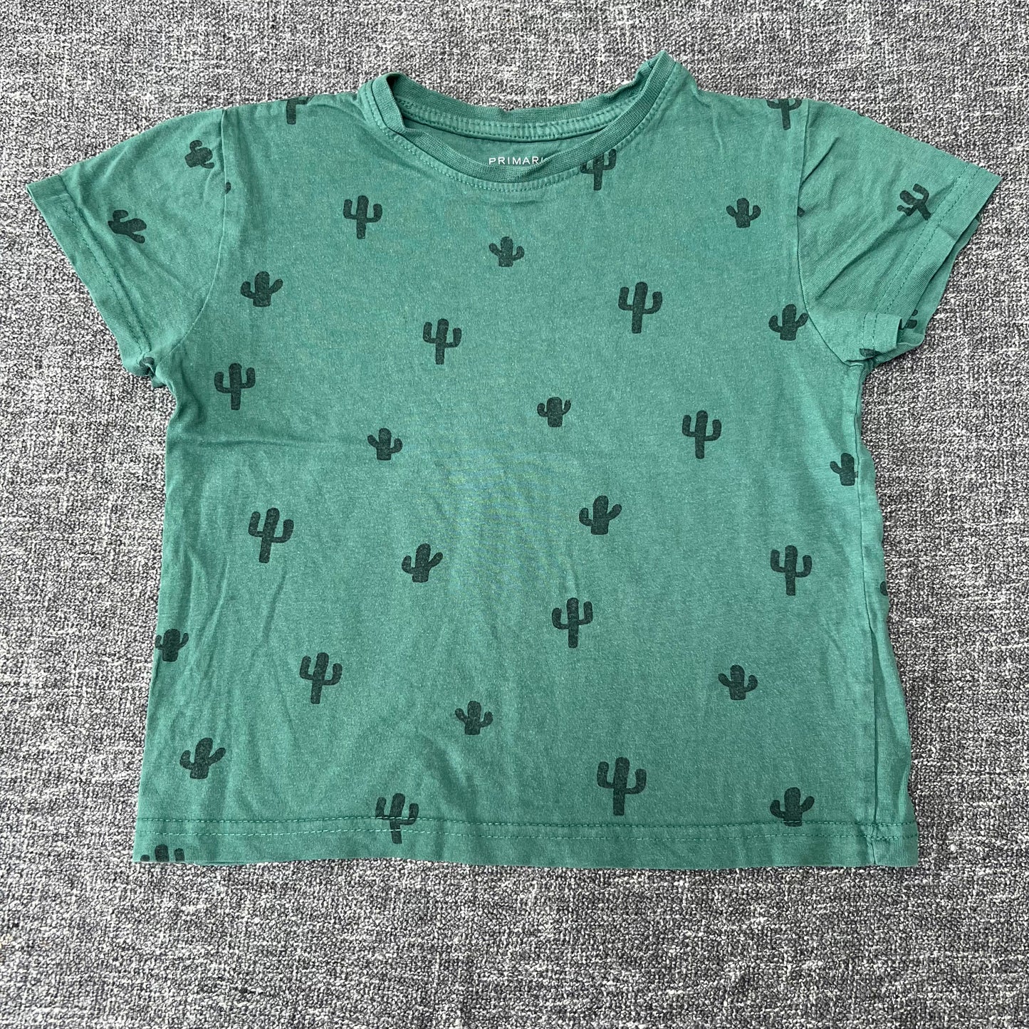 Boys 4-5 Year Green Cactus Print T-shirt