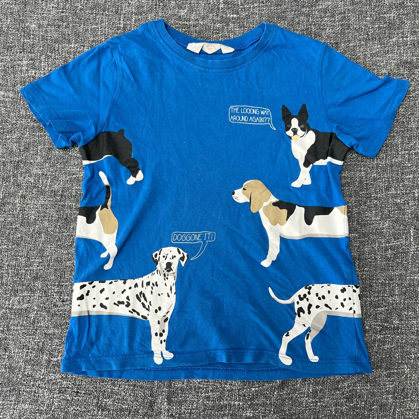 Boys 4-5 Year Blue Dog "The Loong Way Round Again" "Dog Gone It!" T-shirt