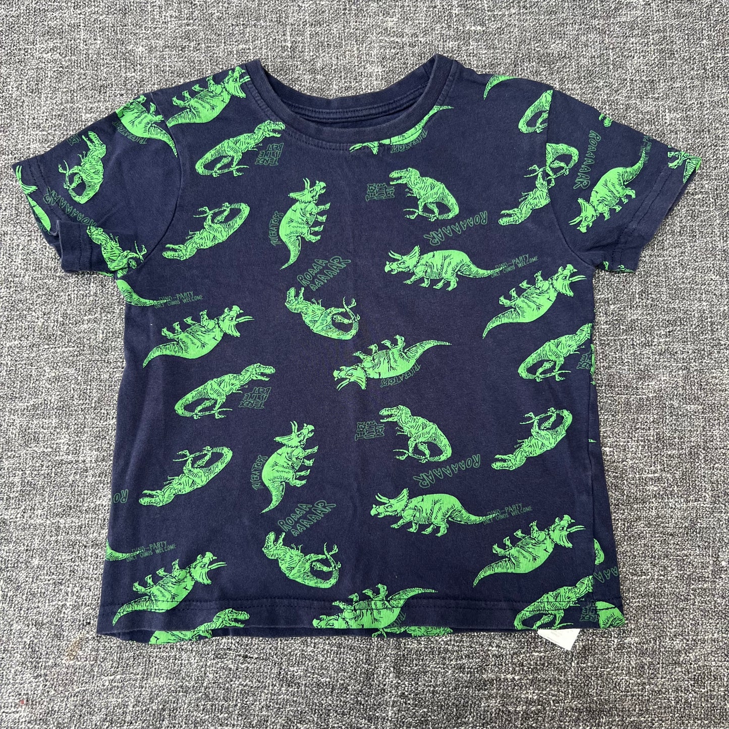 Boys 5-6 Year Blue & Green Dinosaur T-shirt