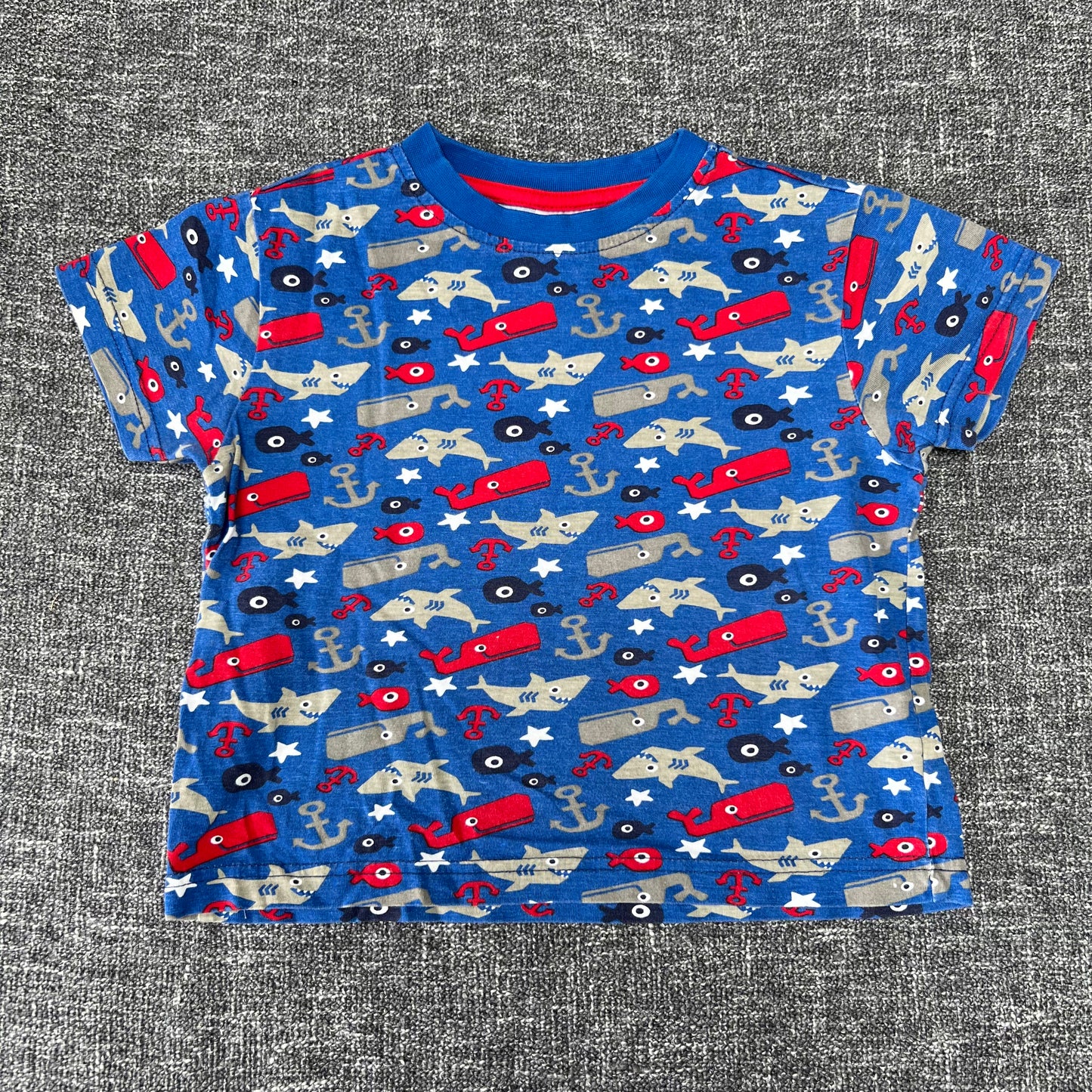 Boys 18-24 Month Blue T-shirt With A Whale & Shark Print