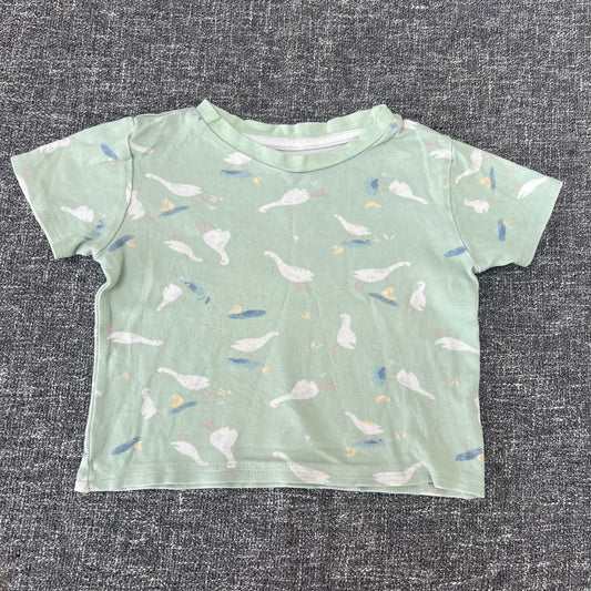 Boys 12-18 Month Green T-shirt  With Duck Print