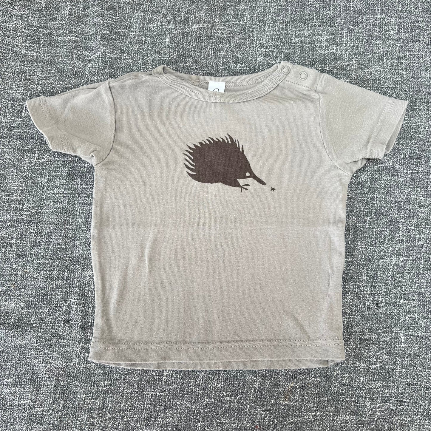 Boys 12-18 Month Grey T-shirt with Brown Hedgehog