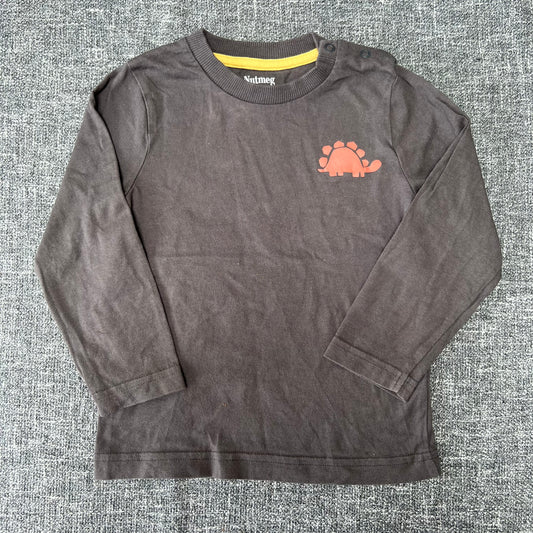 Boys 12-18 Month Brown Long Sleeved Top With Orange Dinosaur Motif