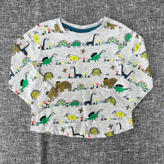 Boys 12-18 Month Grey Dinosaur Print Long Sleeved Top