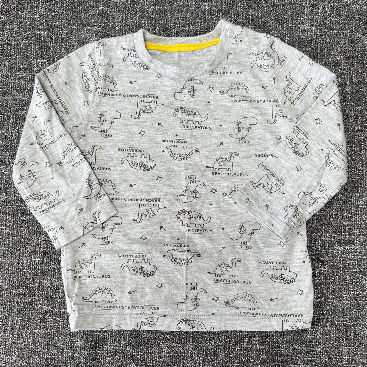 Boys 12-18 Month Grey Dinosaur Print Long Sleeved Top