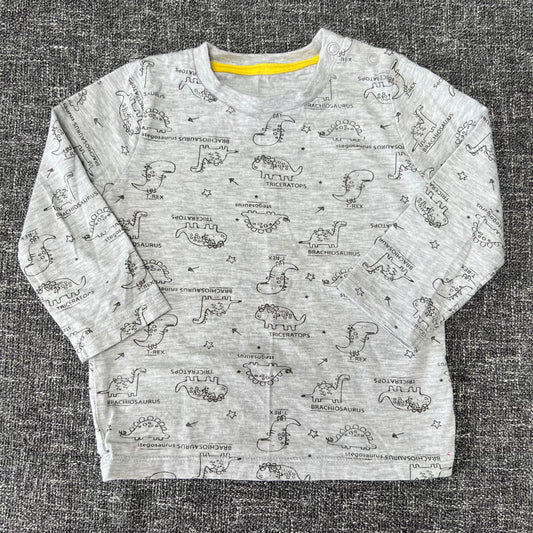 Boys 12-18 Month Grey Dinosaur Print Long Sleeved Top