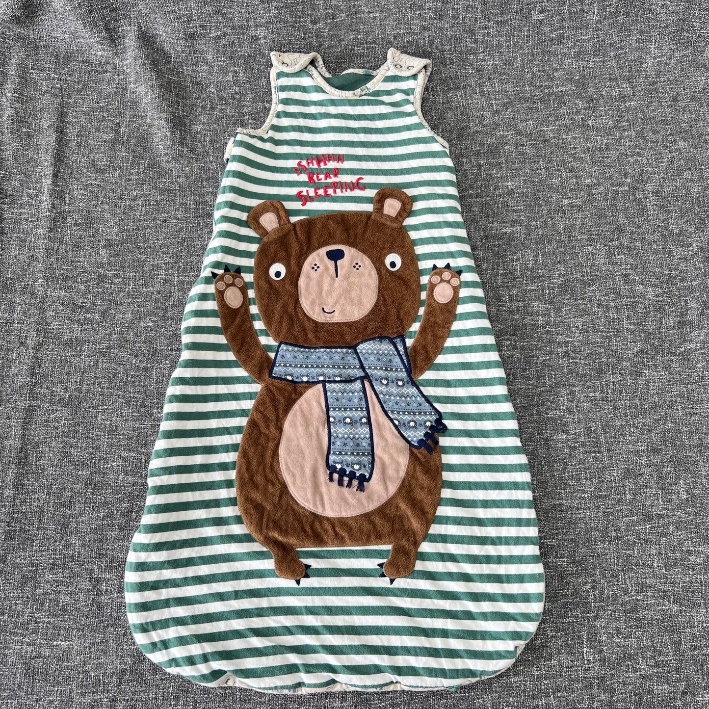 Boys 12-18 Month Green, Beige, & White "Sshhh Bear Sleeping" Winter Sleeping Bag