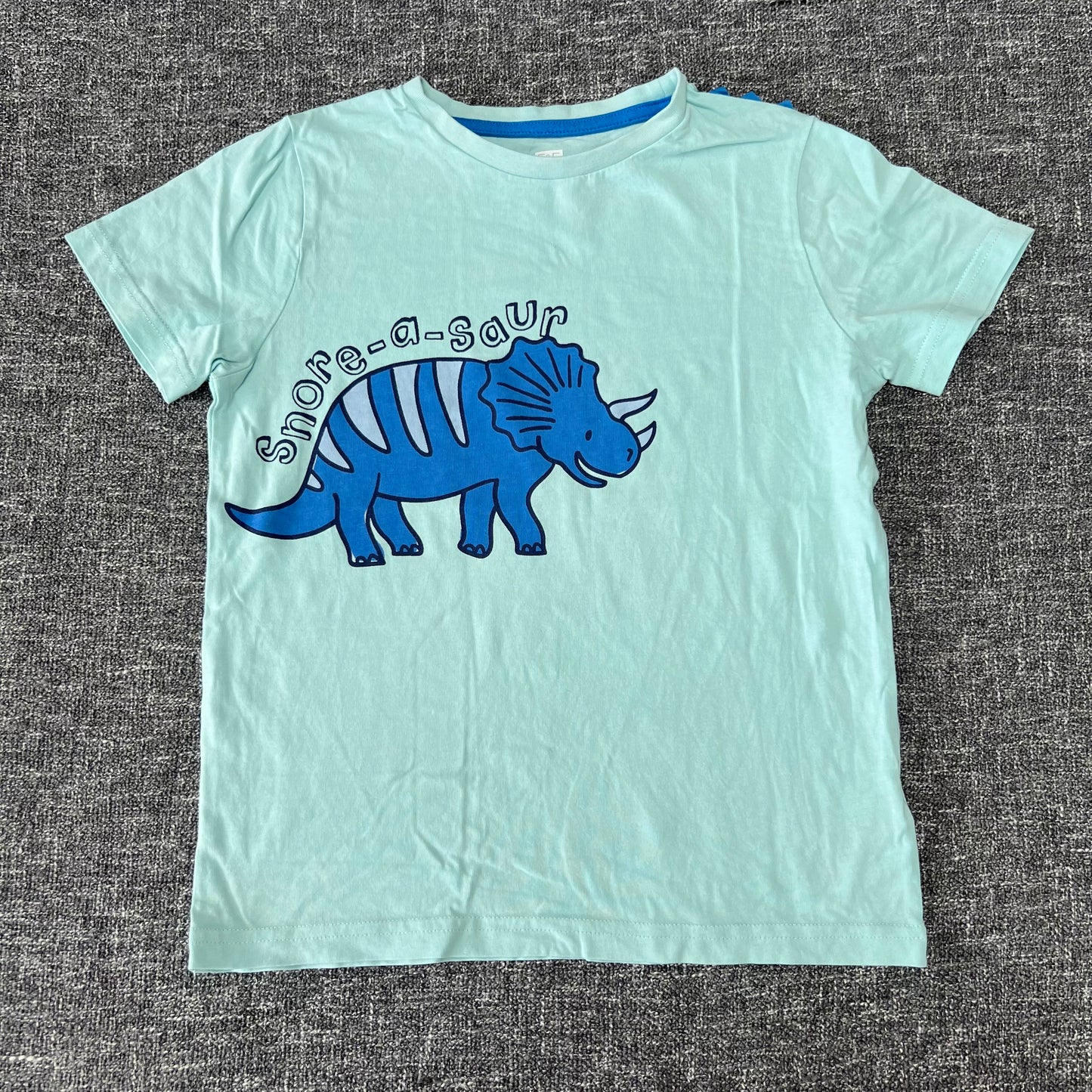 Boys 7-8 Year Turquoise "Snore-a-saur" T-shirt